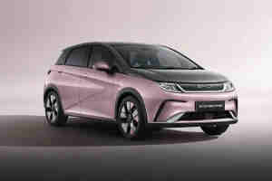 BYD Dolphin