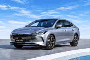 BYD King
