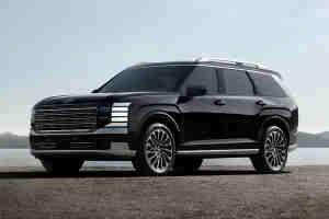 Hyundai The all-new Palisade